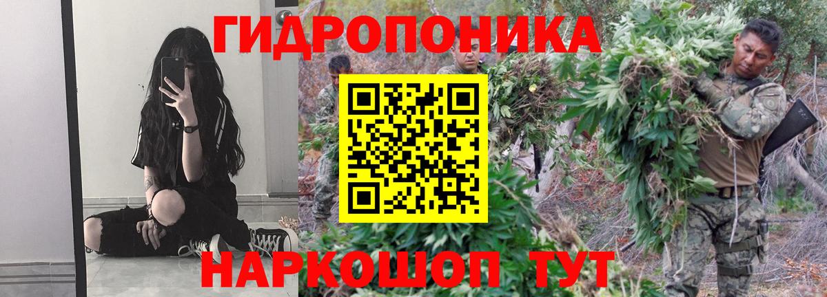 Канабис OG Kush  МАРИХУАНА THC 21%  Вход с VPN  Югорск 